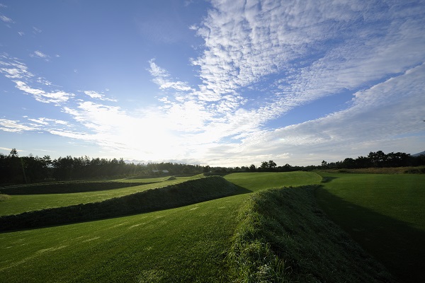 十勝千年の森の写真