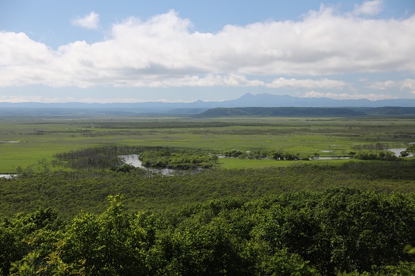 釧路湿原の写真
