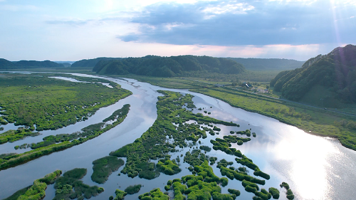 別寒辺牛湿原の写真