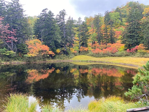 大雪高原温泉(池沼群)の写真