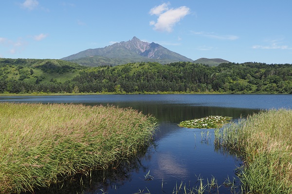 オタトマリ沼の写真