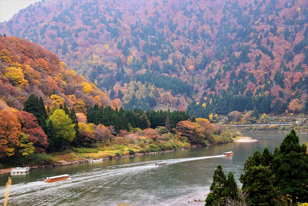 最上川の写真