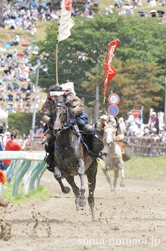 相馬野馬追の写真