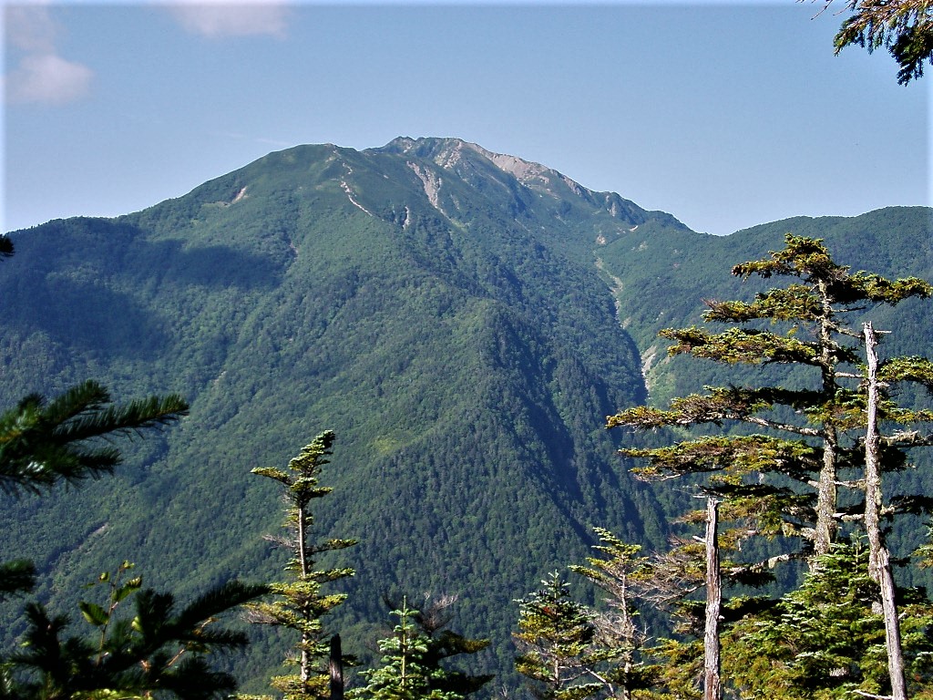 仙丈ヶ岳の写真