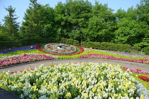 安城産業文化公園デンパークの写真