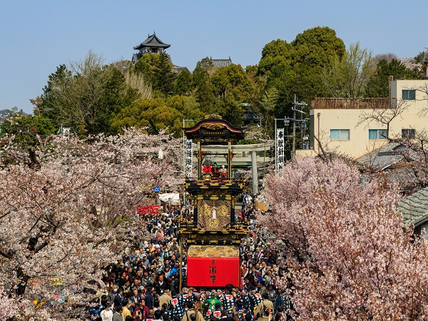 犬山祭の写真