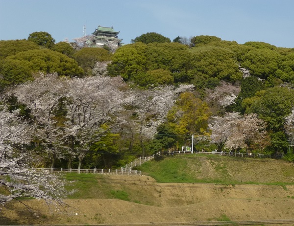 小牧山城跡の写真