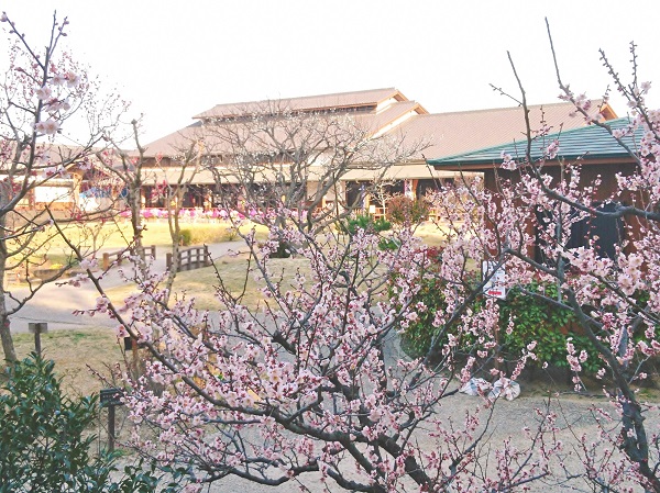 佐布里池の梅林の写真