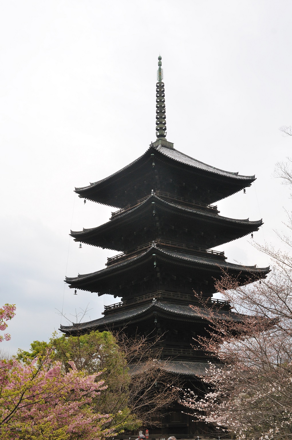 東寺(教王護国寺)の写真