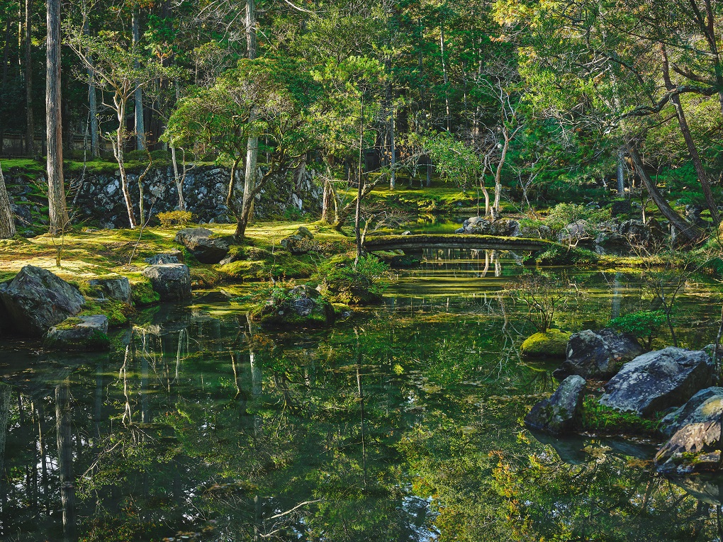 西芳寺(苔寺)の写真