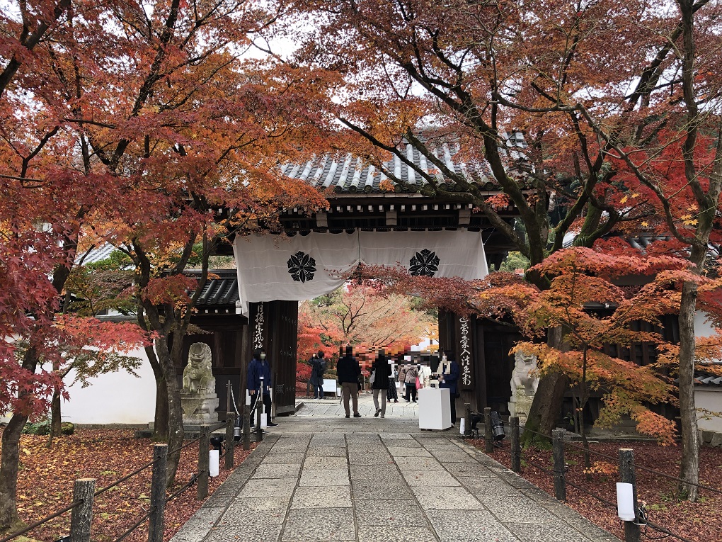 永観堂(禅林寺)の写真