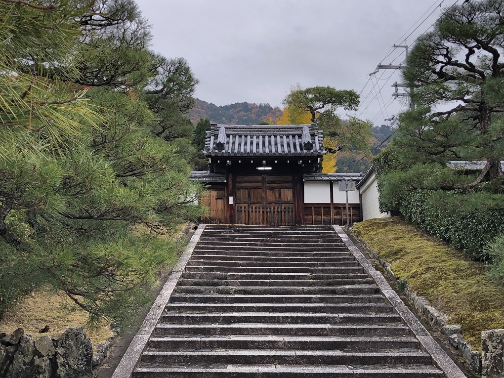 霊鑑寺の写真