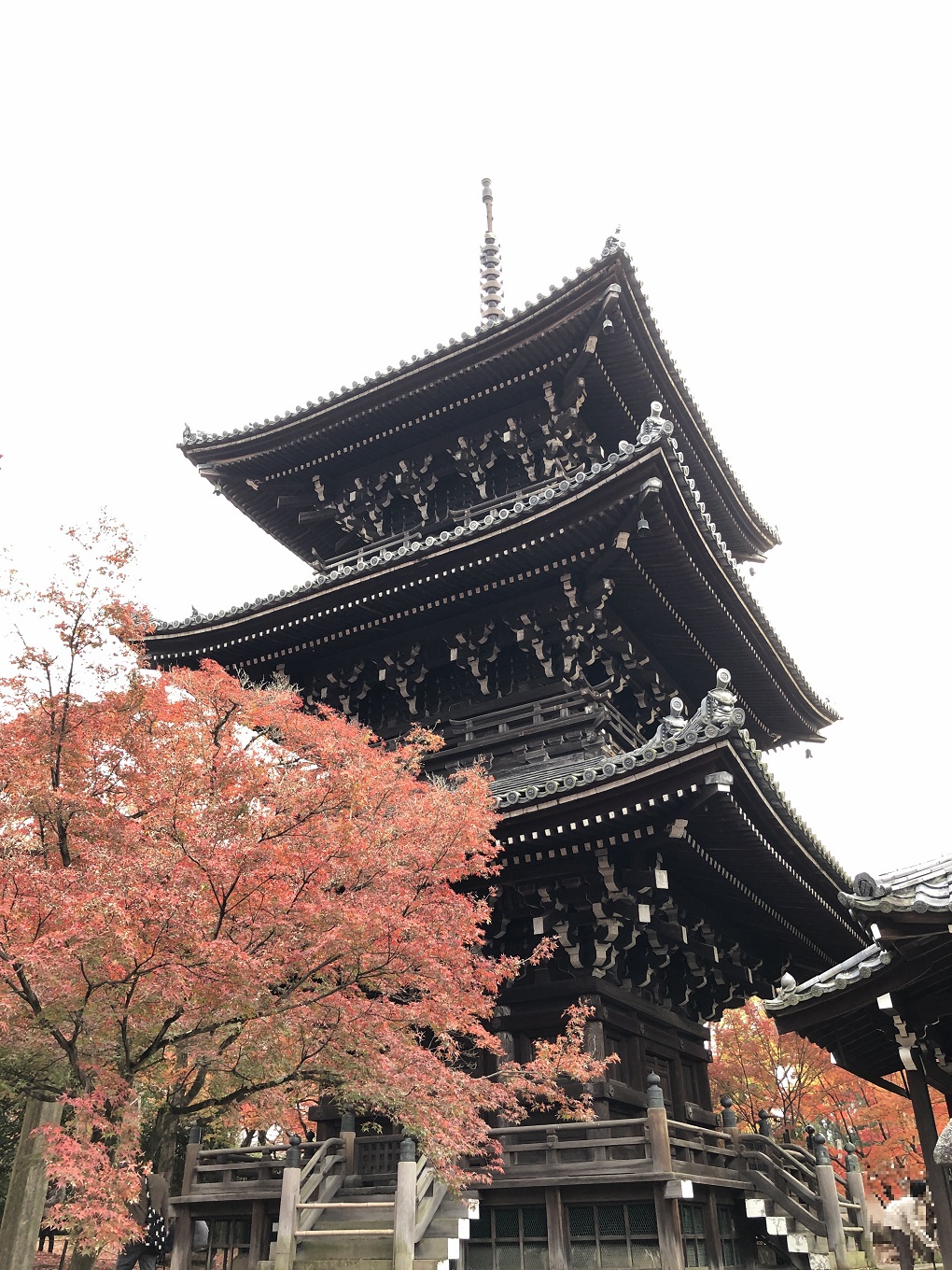 真正極楽寺(真如堂)の写真
